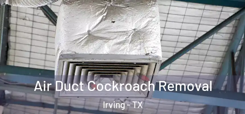 Air Duct Cockroach Removal Irving - TX