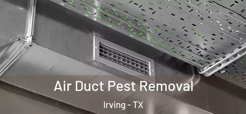 Air Duct Pest Removal Irving - TX