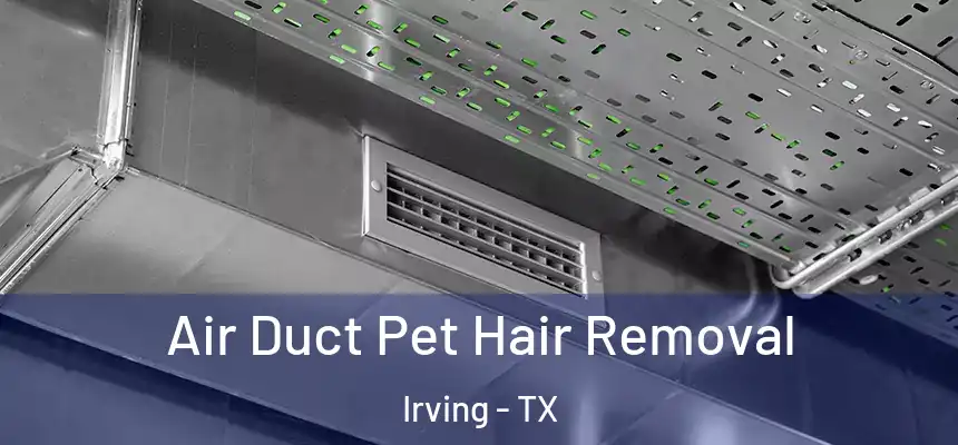Air Duct Pet Hair Removal Irving - TX