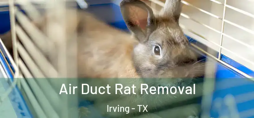 Air Duct Rat Removal Irving - TX