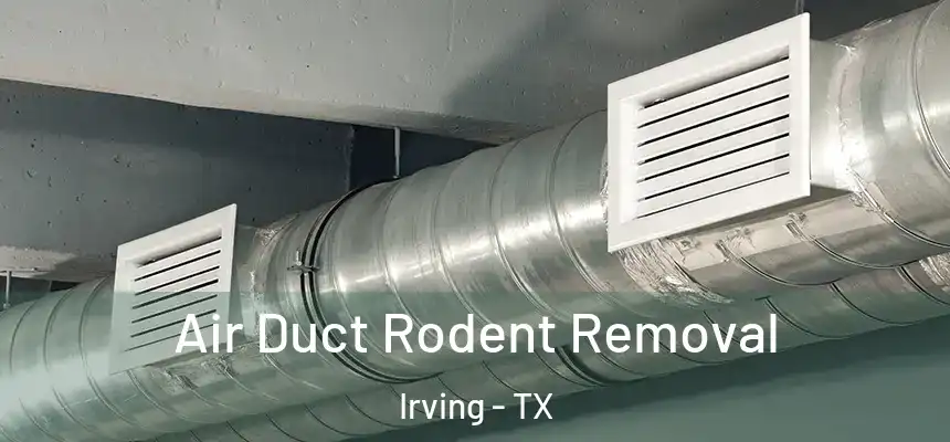 Air Duct Rodent Removal Irving - TX