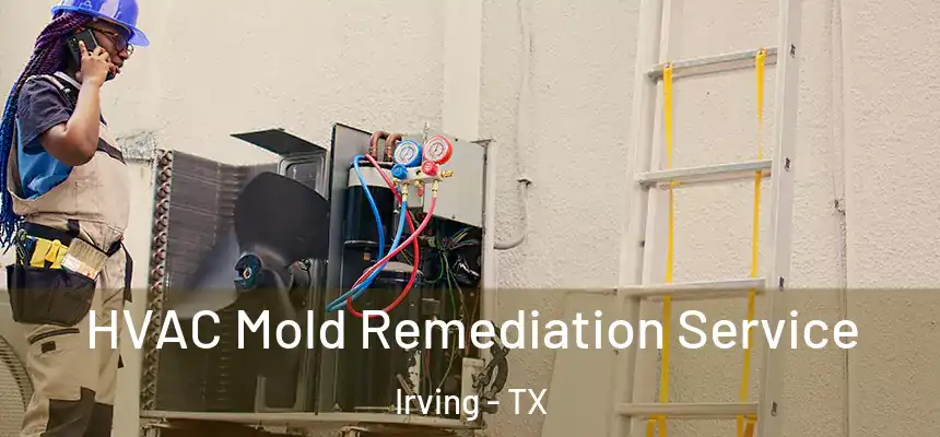HVAC Mold Remediation Service Irving - TX