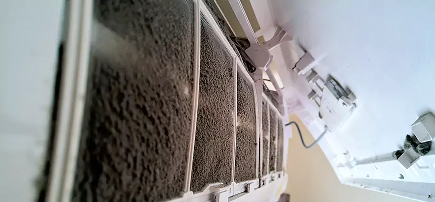 Preventive Air Duct Bacteria Removal in Irving