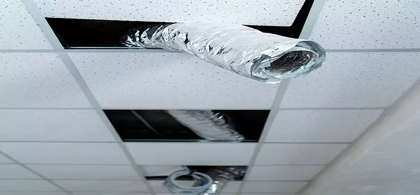 Affordable HVAC Sanitizing After Pest Removal in Irving