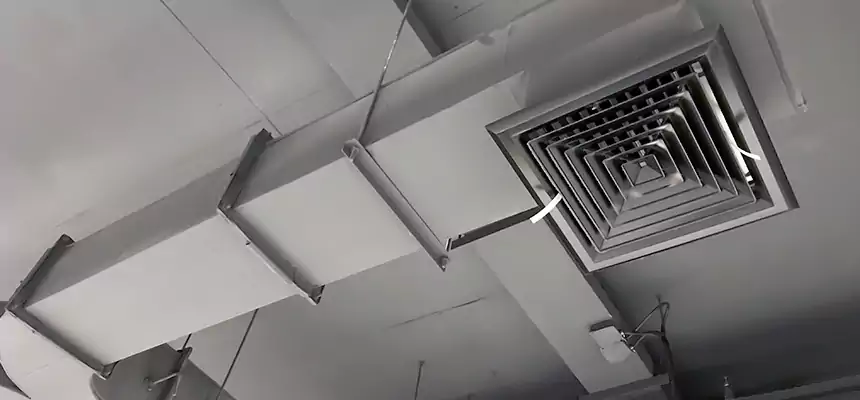 Restorative Allergy Relief Vent Cleaning – Coil, Blower & Housing Detail in Irving