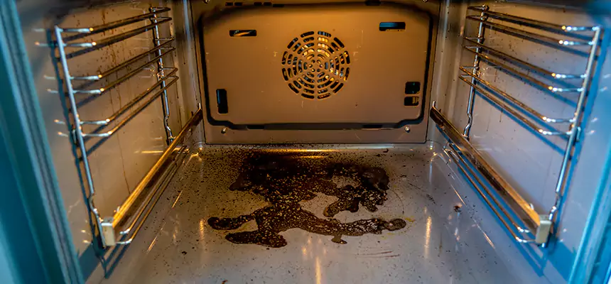 Our Dryer Vent Mold Cleaning Services in Irving, TX