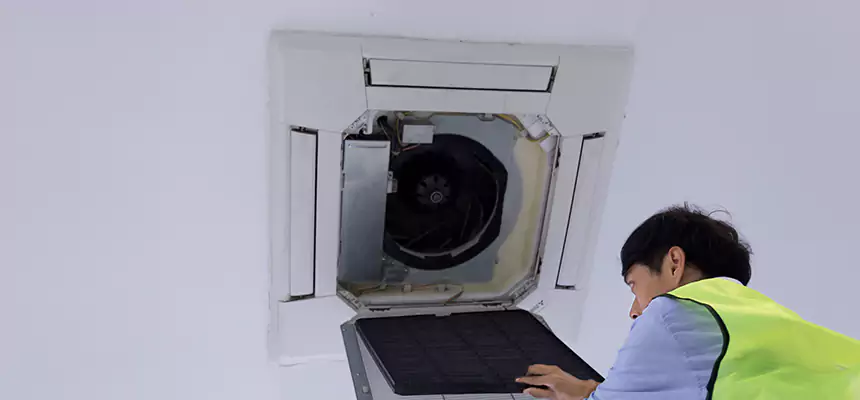 Our Dryer Vent Sanitization Service Services in Irving, TX