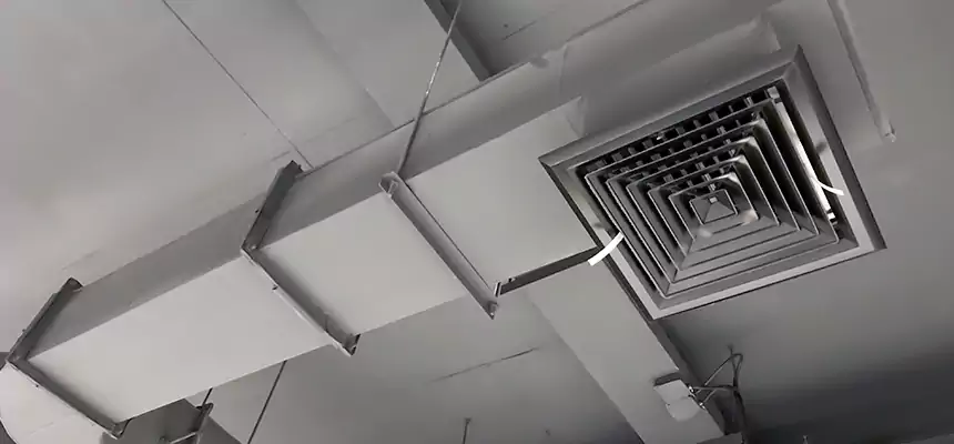 Our Pest Removal From Ducts Services in Irving, TX