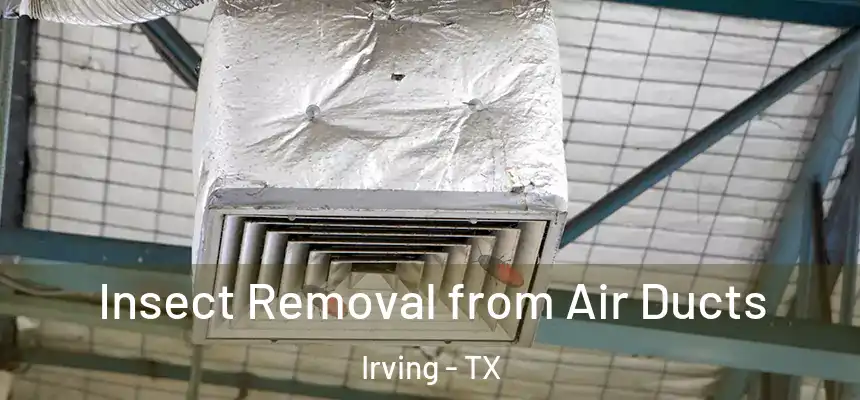 Insect Removal from Air Ducts Irving - TX