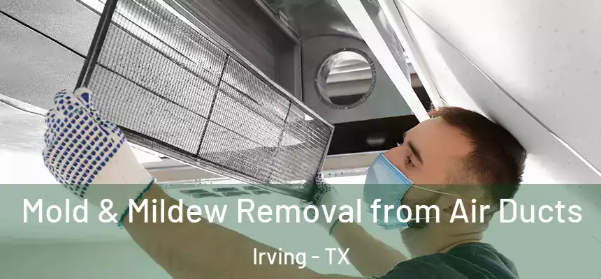 Mold & Mildew Removal from Air Ducts Irving - TX