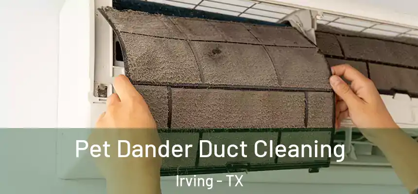 Pet Dander Duct Cleaning Irving - TX