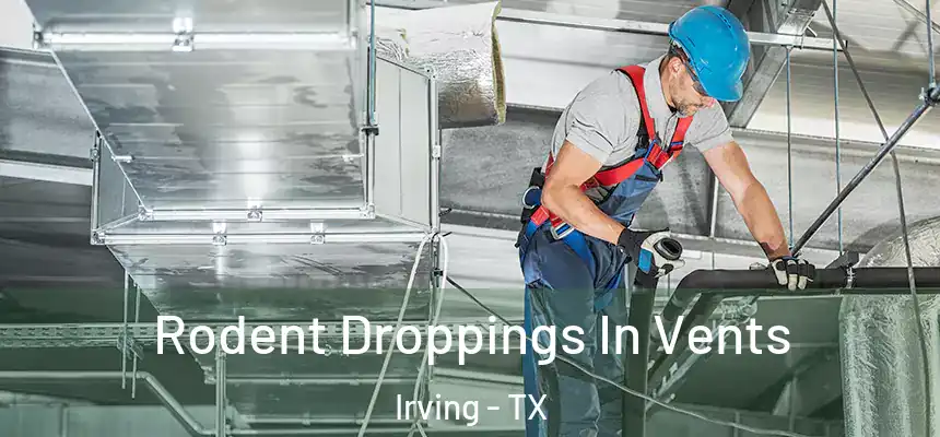 Rodent Droppings In Vents Irving - TX