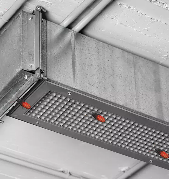 About Air Duct Cockroach Removal in Irving, TX