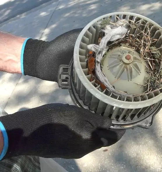 About Air Duct Mice Removal in Irving, TX