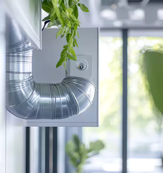 Professional Eco-Safe Dryer Vent Cleaning in Irving, TX