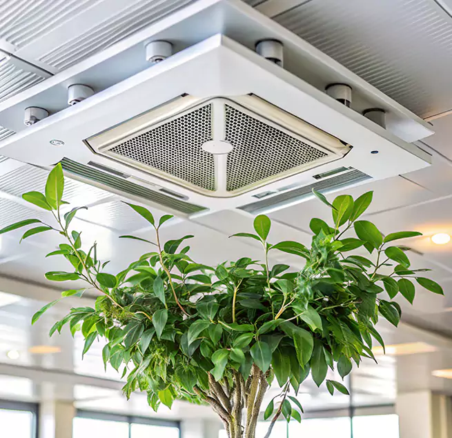 Why Homeowners & Businesses Trust Us in Irving, TX