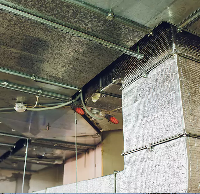 Why Homeowners & Businesses Trust Us Irving, TX?