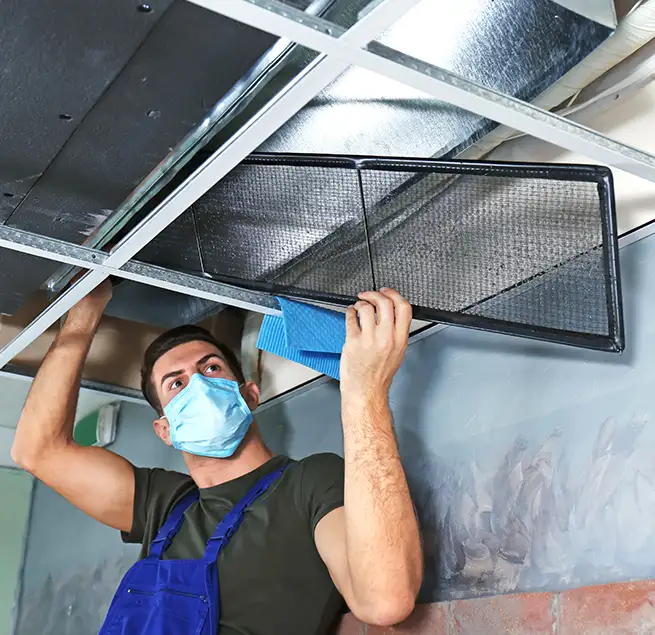 Why Homeowners & Businesses Trust Us in Irving, TX?