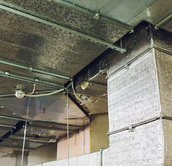 Why Homeowners & Businesses Trust Us in Irving, TX?